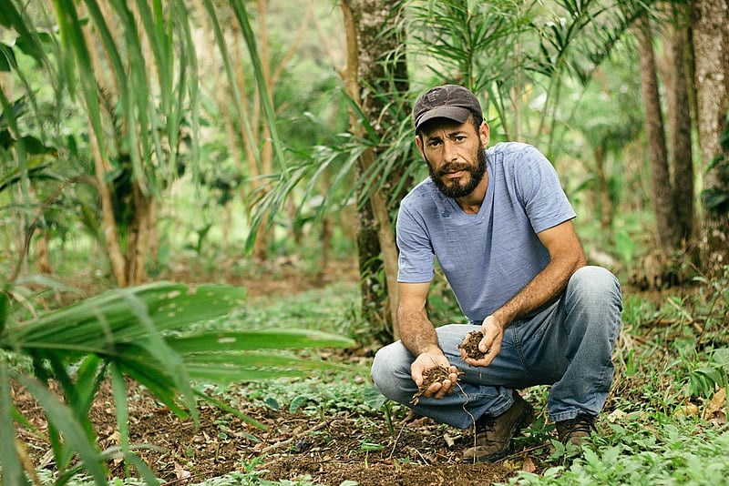 Acampamento ocupa parte da APA de Guaraqueçaba e desde 2003 concilia a produção de alimentos livres de agrotóxicos