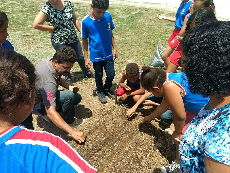 Alunos da rede pública de Maricá aprendem na prática a importância de produzir alimentos saudáveis