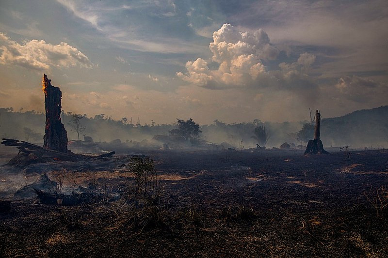 Área devastada em agosto por incêndio na região de Altamira, Pará. No mês passado, queimadas aumentaram 300% com relação a 2018