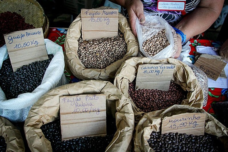 Espaço do Rio Grande do Sul comercializa dez tipos de feijão orgânico