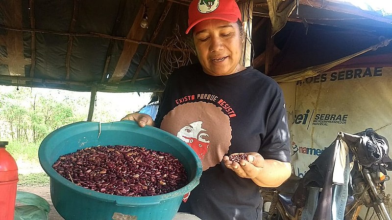 Maria Moureira, do acampamento Dom Tomás Balduíno foi quem trouxe os primeiros oito caroços de feijão Jalo Roxo de Minas Gerais