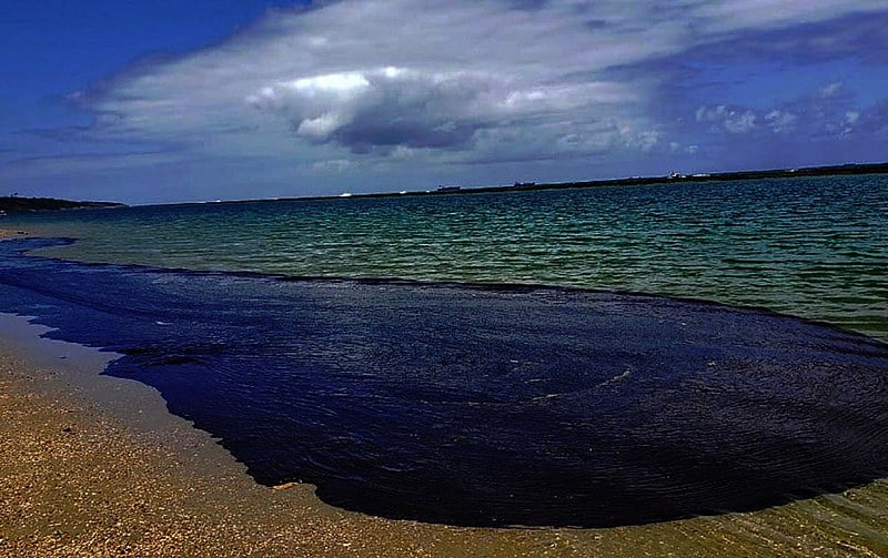 Cabo de Santo Agostinho (PE): óleo empossado é pequena parte do desastre que se espalhou; Ministério do Meio Ambiente demorou a agir