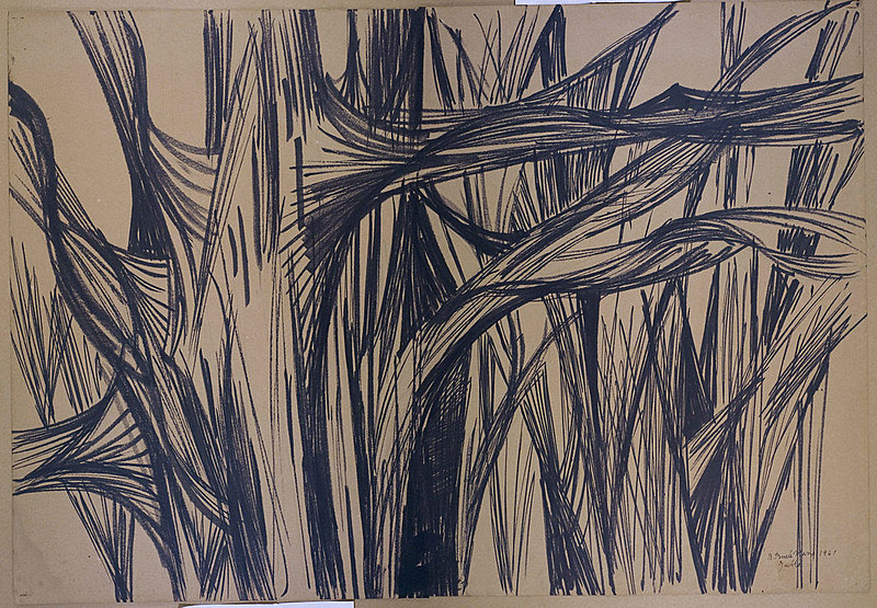 Desenho da série Pithecolobium (1961)