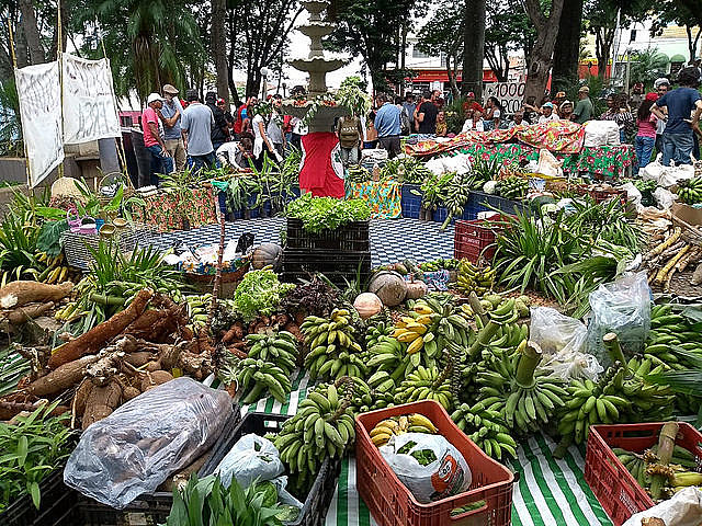 Produce grown by Quilombo Campo Grande residents in Minas Gerais, southeastern Brazil