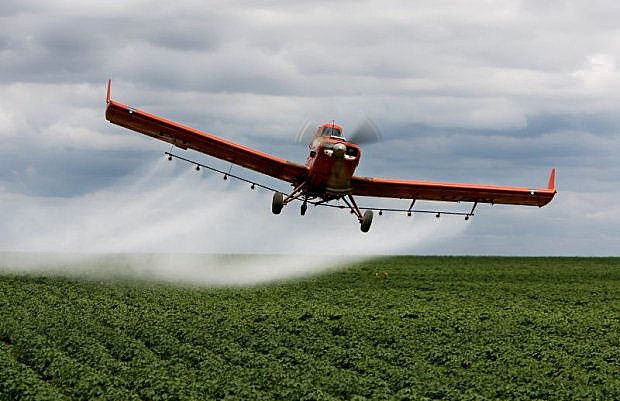 Ibama já havia proibido, em 2012, a aplicação aérea do agrotóxico Engeo Pleno, da Syngenta, em milharais