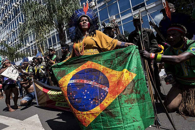 Liderança Sônia Guajajara divulgou informação em primeira mão nas redes sociais