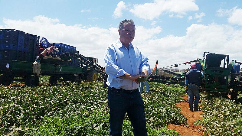 Ministro Blairo Maggi na colheita do melão na fazenda famosa em Icapuí-CE