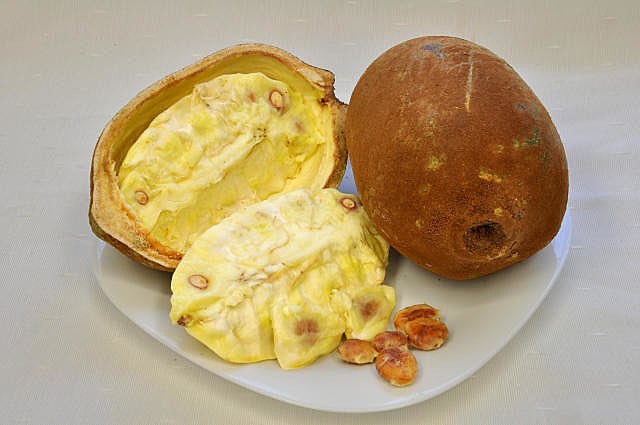 O cupuaçu é uma fruta originária da Amazônia, muito conhecida por seu sabor exótico e marcante