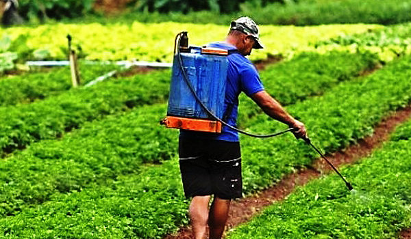 Os agrotóxicos causam problemas neurológicos, motores e mentais: além de  problemas hormonais e diversos tipos de cânceres