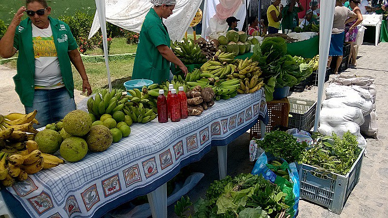 Feira Agroecológica de Porto de Galinhas - PE