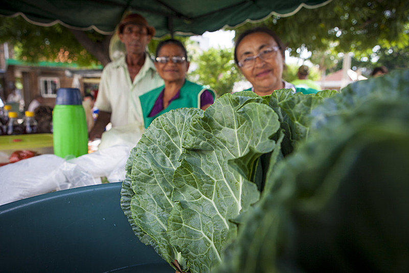 Feira Agroecológica e Solidária de Itapipoca
