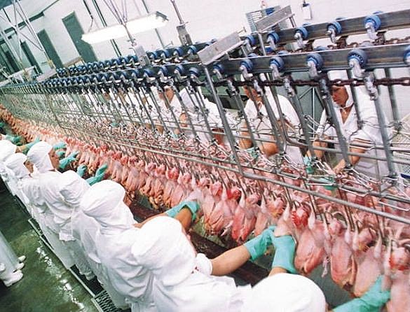 Unidade da BRF Chapecó suspendeu o contrato de trabalho de cerca de 1.200 funcionários