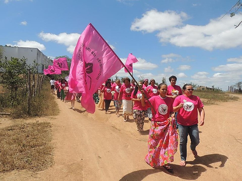 Filme mostra o cotidiano de mulheres trabalhadoras rurais, em momentos de trabalho e mobilização coletiva