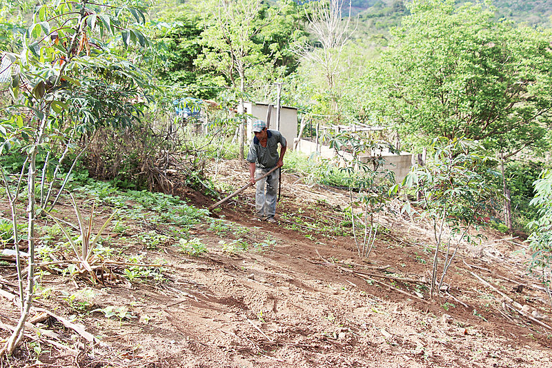 Desde o começo, o acampamento transforma o panorama da produção local