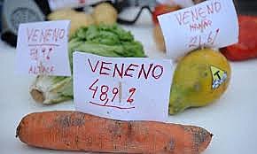 Según estudios, las zanahorias tiene mas del 40% de veneno en su composición