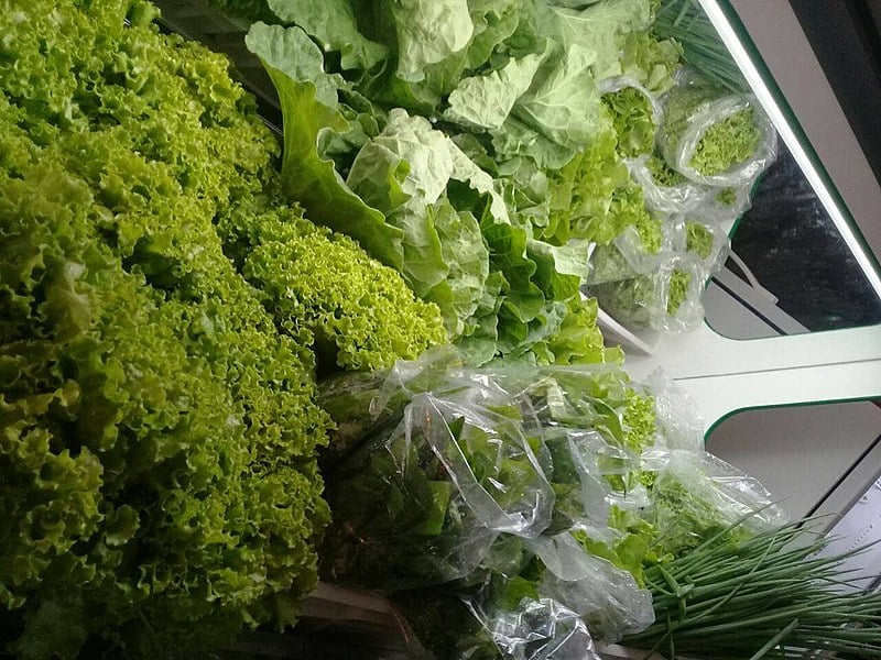 Além de verduras, arroz, feijão, sucos, farinha, doces, frutas e legumes serão vendidos na loja