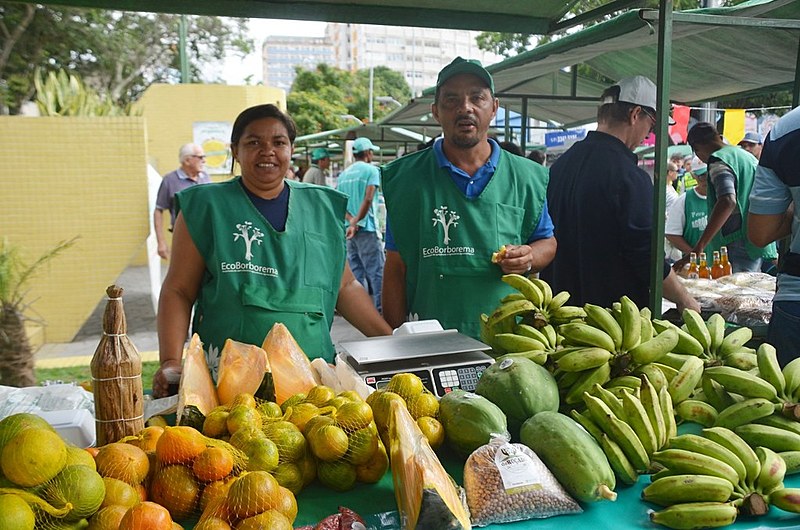 Feirantes da EcoBorema