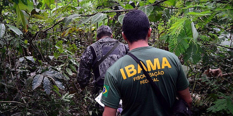 Grileiros sentem “um ambiente bem mais positivo” em Brasília e avançam para novas conquistas