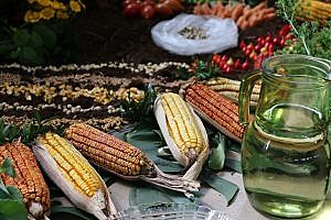 O Brasil é o campeão mundial no uso de produtos químicos na agricultura.
