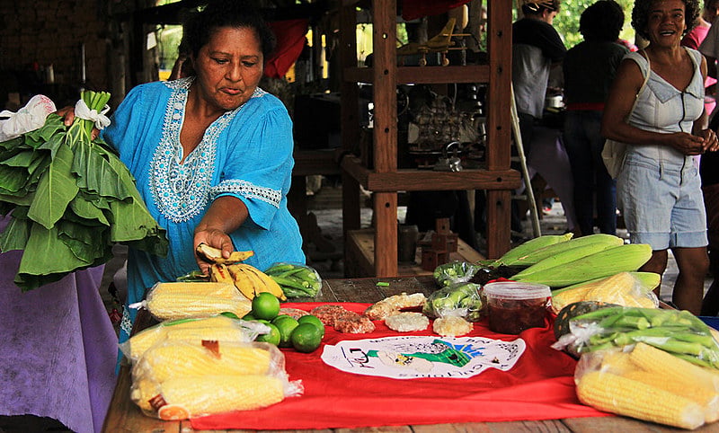 Rio de Janeiro, Bahia, Rio Grande do Sul e Sergipe já iniciaram a comercialização das cestas natalinas de alimentos sem venenos