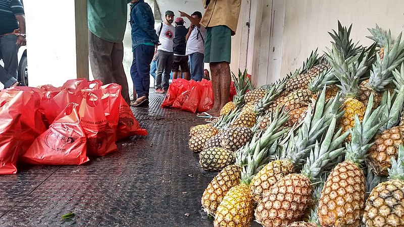 Uma tonelada de produtos da Reforma Agrária foram entregues pelo Movimento Sem Terra para as famílias sem teto em João Pessoa