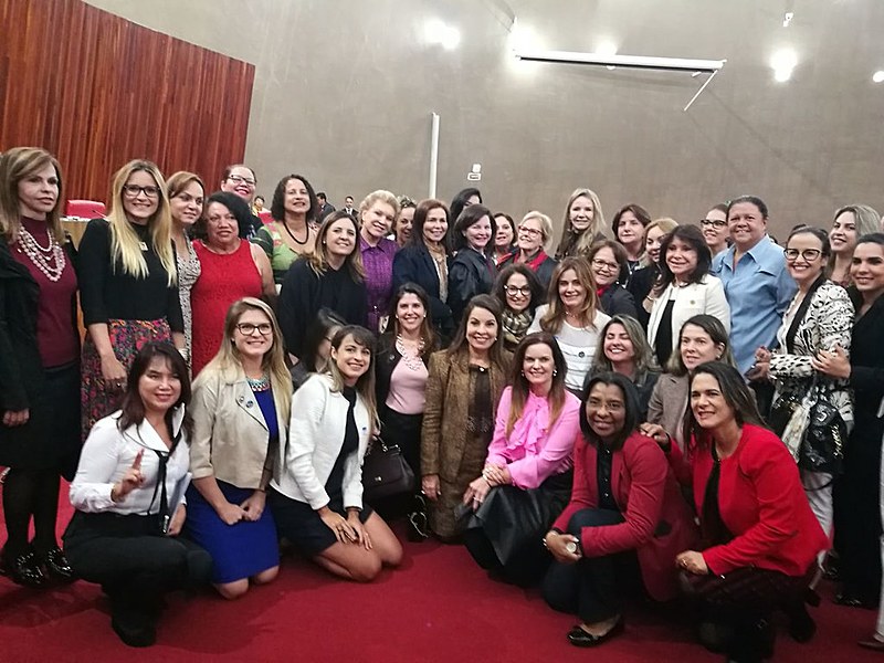 Bancada feminina no Congresso registrou dia em que TSE aprovou fundo eleitoral, em maio deste ano