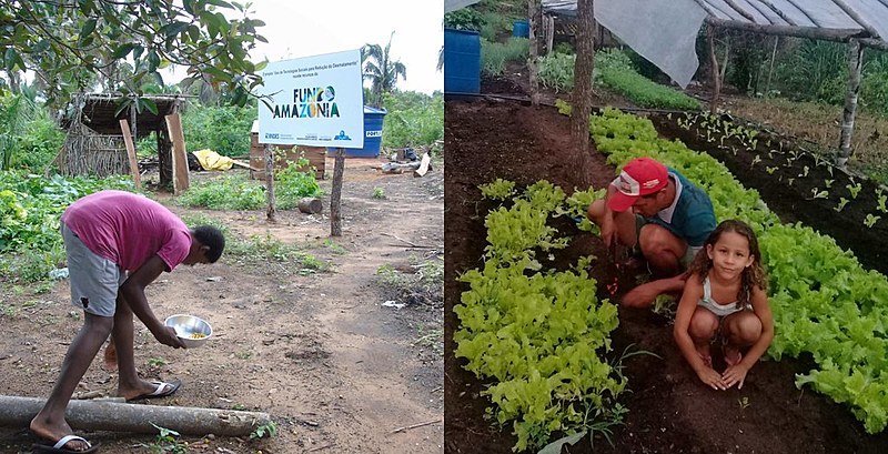Atingidos por barragem produzem alimentos em acampamento no Tocantins