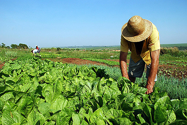 Movimentos populares têm feito fortes críticas à proposta, afirmando que ela piora a concentração de terras e compromete a reforma agrária