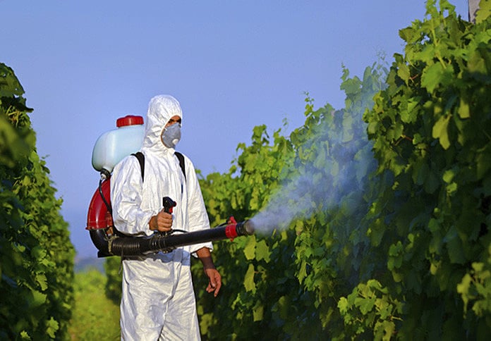 Brasil consome 20% de todo o agrotóxico comercializado no mundo