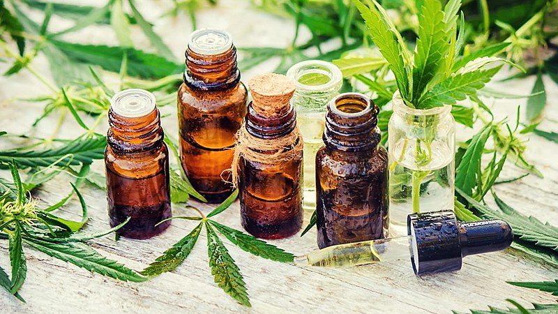 Debate sobre o uso dos derivados da maconha para tratamento da saúde vem ganhando campo e força