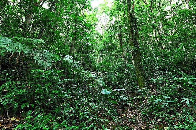 Instituto Ambiental do Paraná (IAP) não tem concurso público há décadas e constantemente é sucateado