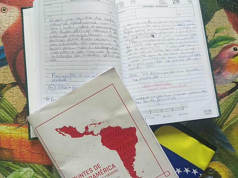Já no Chile, em sua luta por democracia depois de décadas, ao contrário, jovens manifestantes podem ser classificados como vândalos