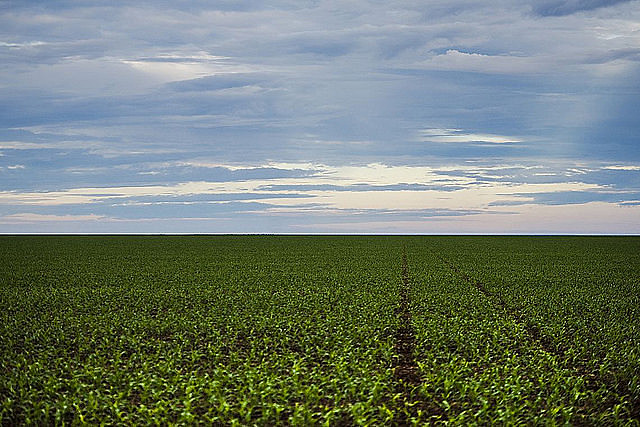 Plantação de soja no Mato Grosso; no país, 2 mil latifúndios ocupam área maior que 4 milhões de propriedades rurais