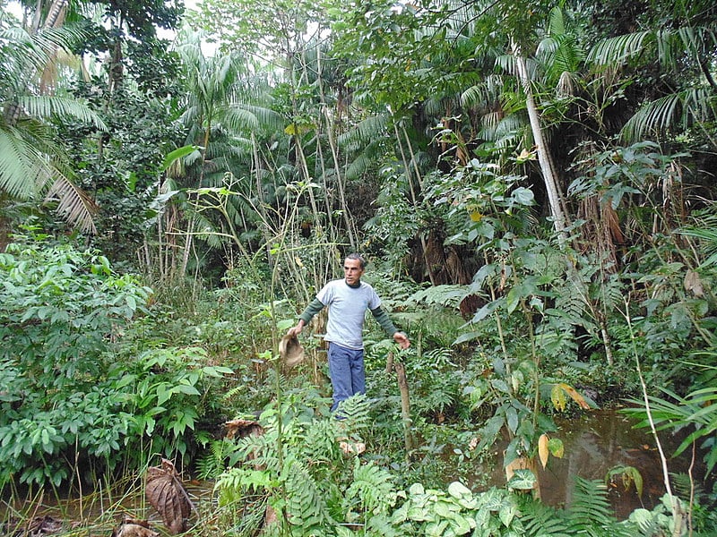 "Plantar água não é plantar árvore, é colher chuva e guardar essa chuva pra momentos não chuvosos" afirma Newton Campos, da Plantágua