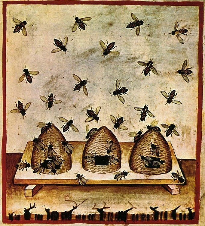 Ilustração do manuscrito do século XIV, Tacuina sanitatis
