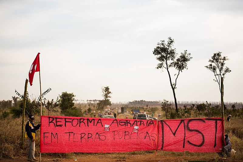 As famílias acampadas plantam maxixe, quiabo, feijão, milho, mandioca e melancia em terreno que estava abandonado