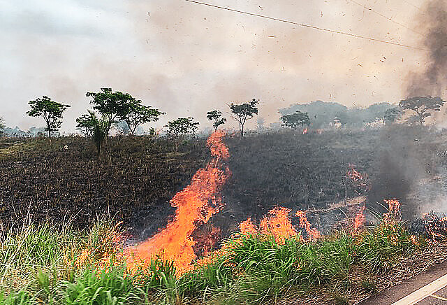 La deforestación es el primer paso del "grilagem"; un registro de los incendios en la carretera BR-155 en Eldorado dos Carajás (Pará)