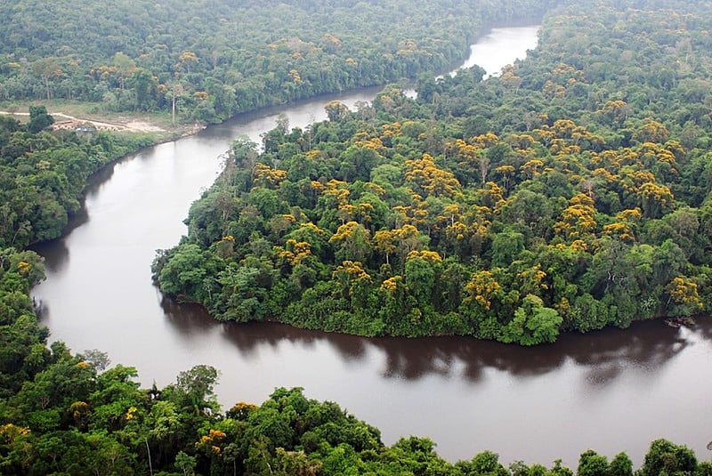 Bolsonaro apresenta uma ideia retrógrada e atrasada sobre a maior floresta tropical do mundo