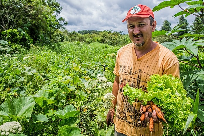 Cooperativa criada comercializa produção de 230 famílias de 5 municípios