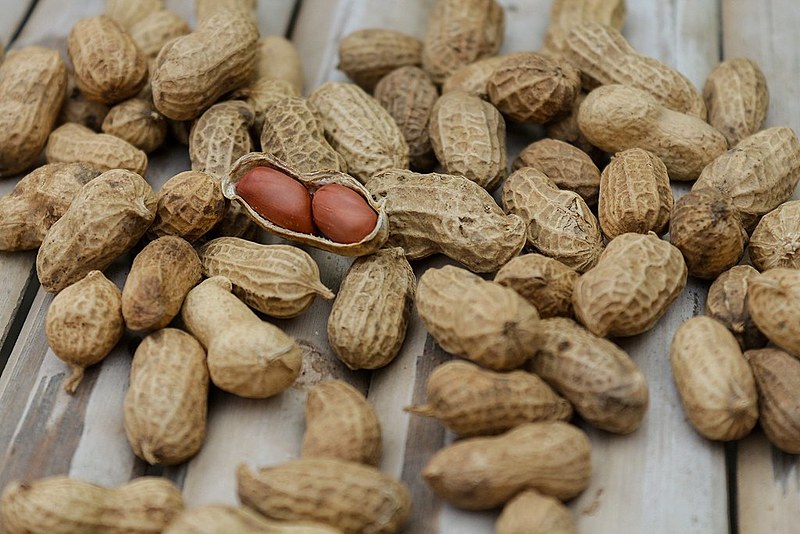 Alimento é rico em ômega 3, vitamina E e o complexo B e está presente em várias receitas brasileiras