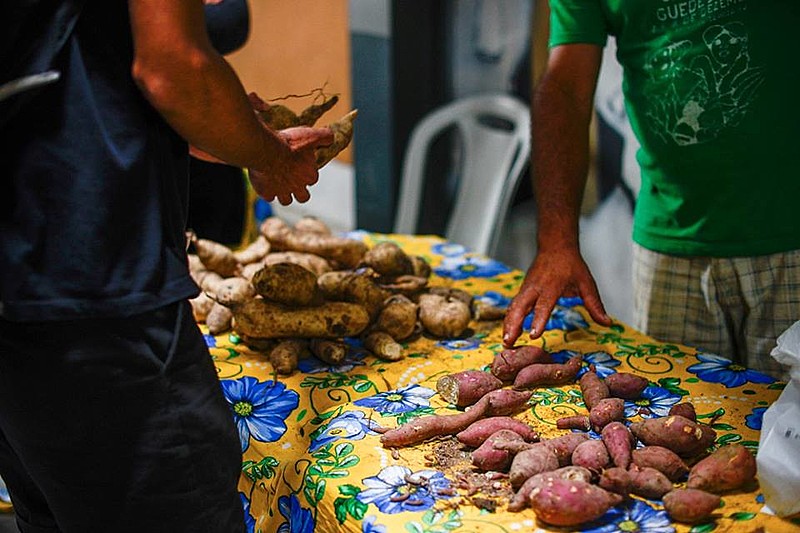 Moradores do município de Campos dos Goytacazes, no Rio de Janeiro, contam com o whatsapp para comprar alimentos agroecológicos.