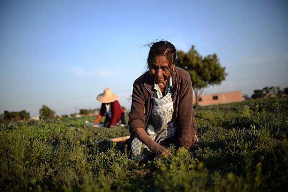 Camponeses no México sofrem com alto nível de pobreza