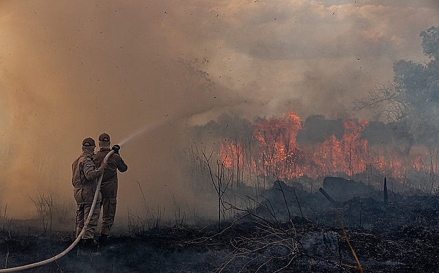 Somente em 2019, o número de focos de incêndio chegou a 7.003