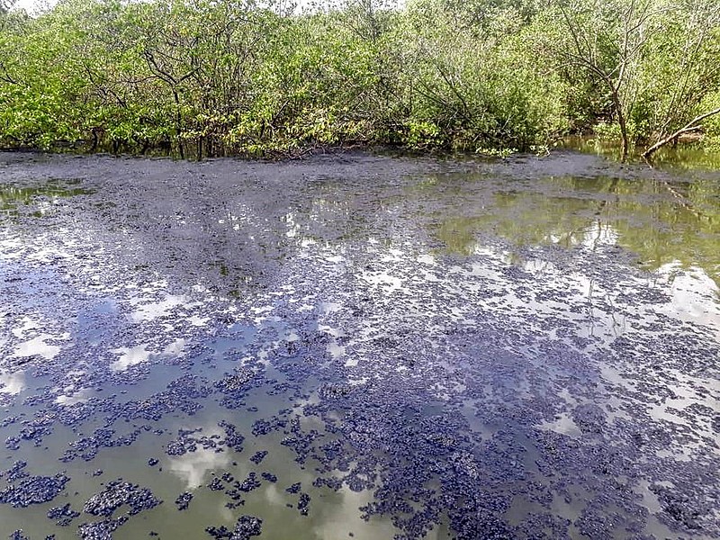 Área atingida pelo rompimento no Rio São Paulo; Petrobras informou que 90% da área atingida por "água oleosa” foi limpa