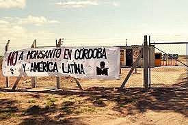 Em setembro deste ano, a Assembleia Malvinas Luta pela Vida completa três anos de resistência