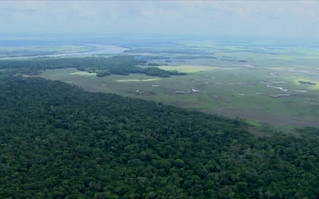 La reserva abriga nueve áreas de conservación forestal, entre unidades de conservación, parques y dos territorios indígenas