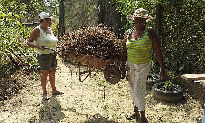 Moradoras se reúnem para manter horta viva em Duque de Caxias