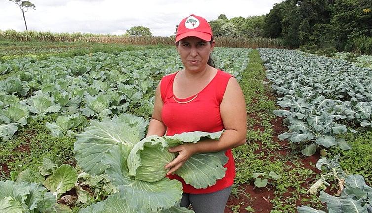Produção do assentamento do MST, Dorcelina Folador (PR)