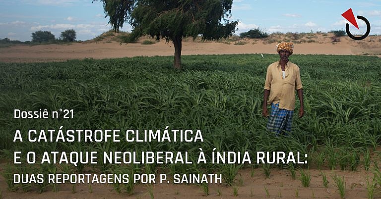 De acordo com o estudo, saídas estão na agroecologia, nas sementes crioulas e no cooperativismo