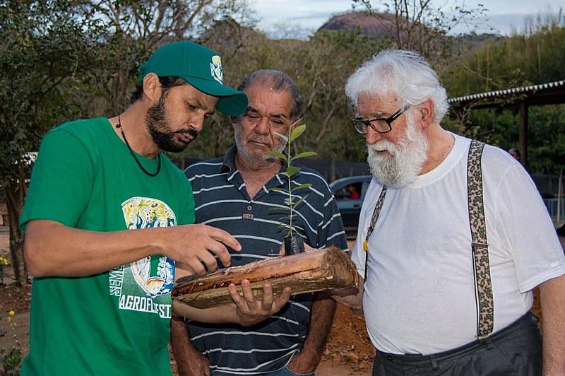 Boff conheceu o projeto "Semeando Agroflorestas" que atua no reflorestamento de áreas degradadas